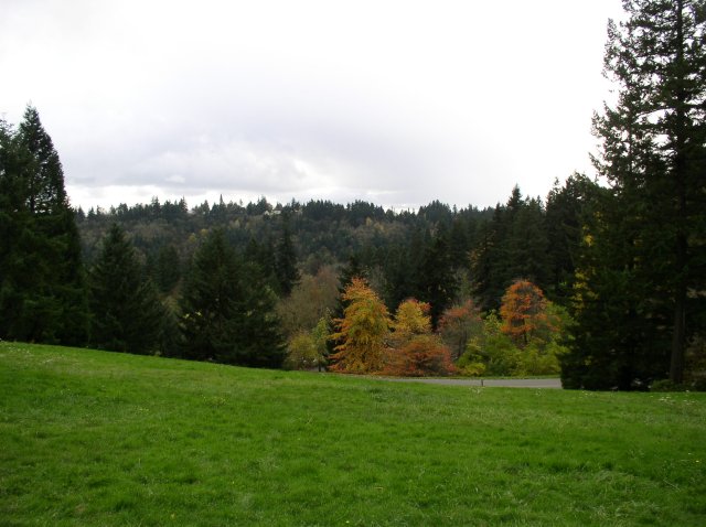 11.06.05 Wildwood Trail 019 